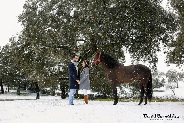 Fotografía pareja. Preboda postboda