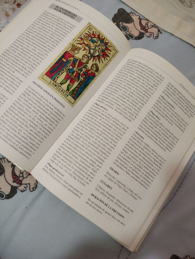 Libro el lenguaje secreto del tarot