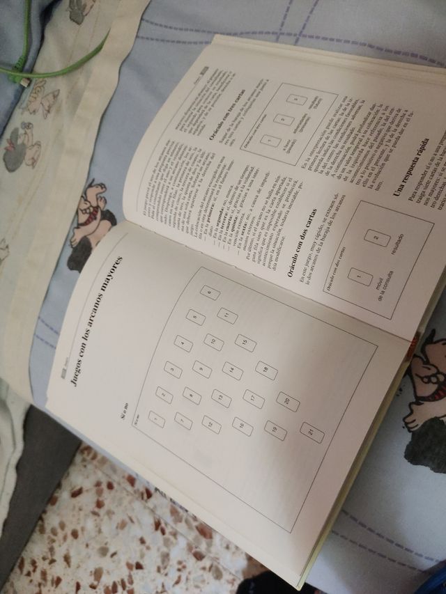 Libro el lenguaje secreto del tarot