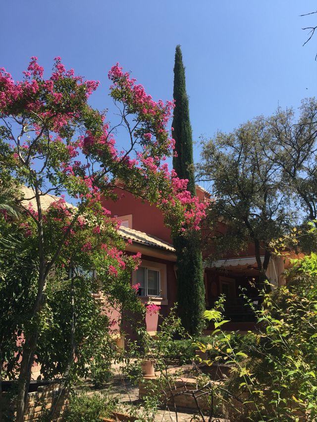 Clases de Canto clásico o moderno