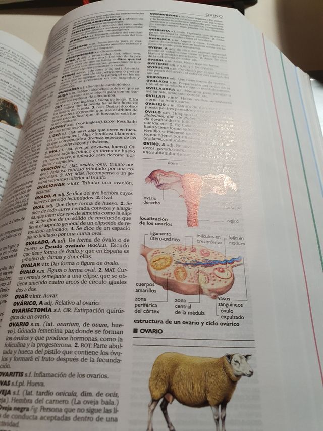 Pequeño Larousse Ilustrado 2007