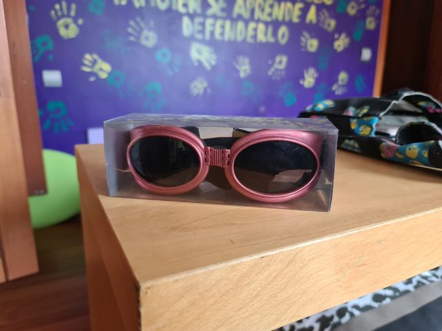 occhiali per cani... e un paio di scarpe da ginnastica