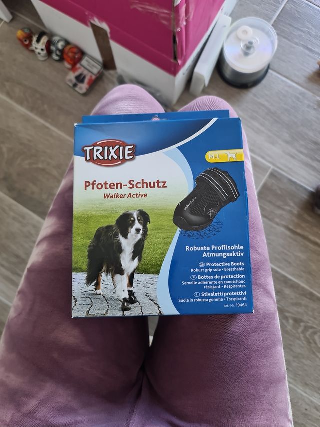 occhiali per cani... e un paio di scarpe da ginnastica