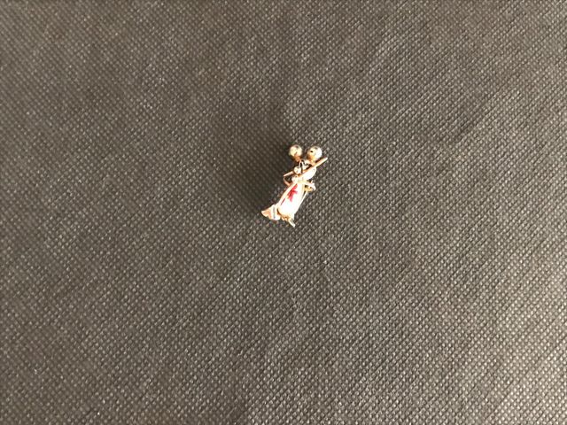 Broche ratita que barre