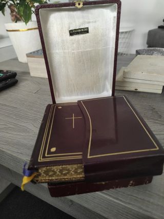 la hormiga comuniones