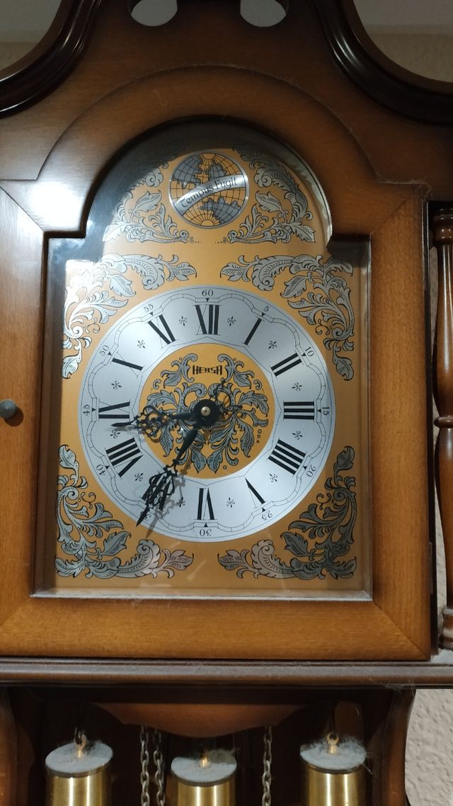 Precioso reloj de carrillón Tempus Fugit