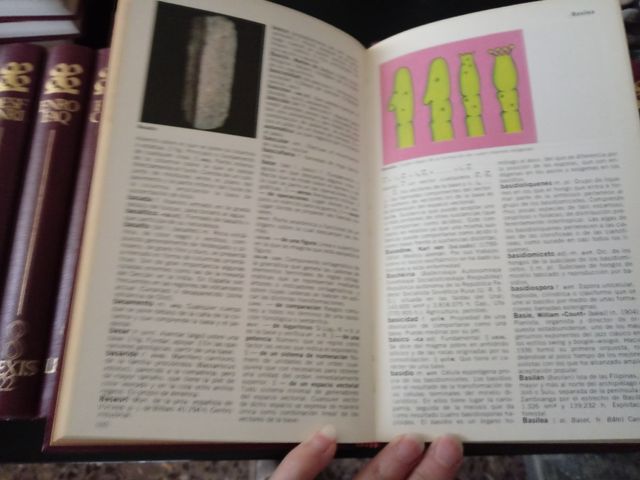 ENCICLOPEDIA LEXIS 22