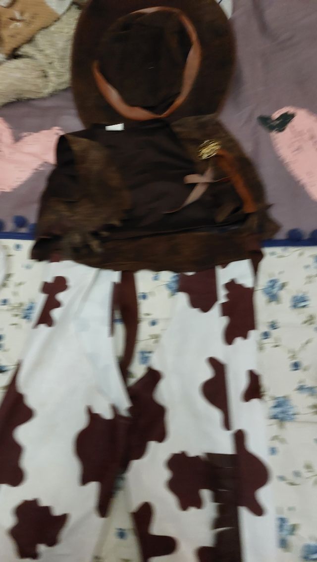 disfraz niño de 4 a 6 años de vaquero