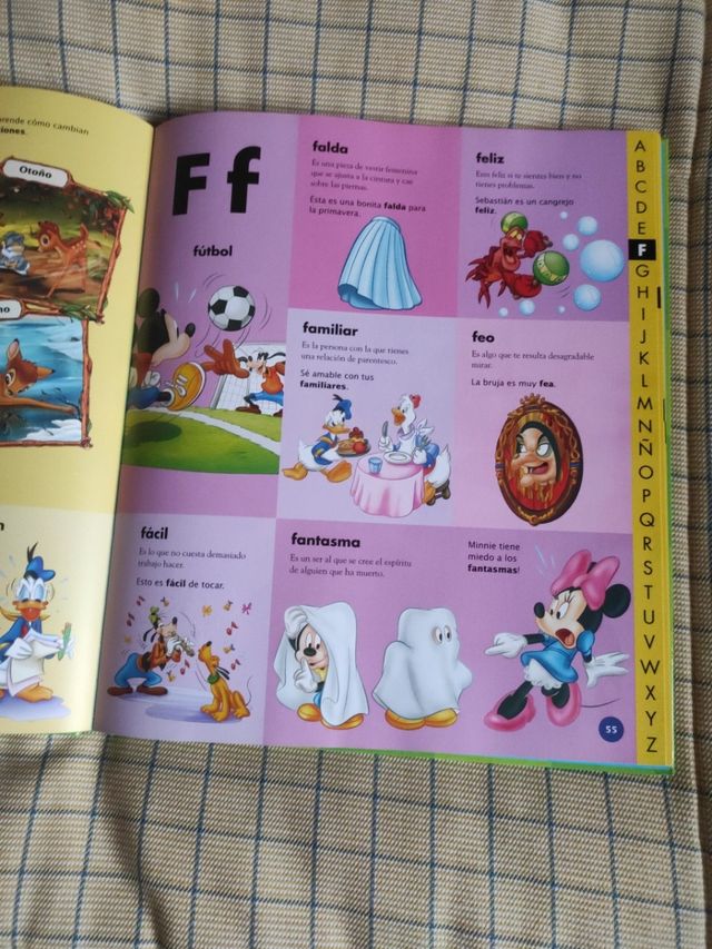 Diccionario ilustrado