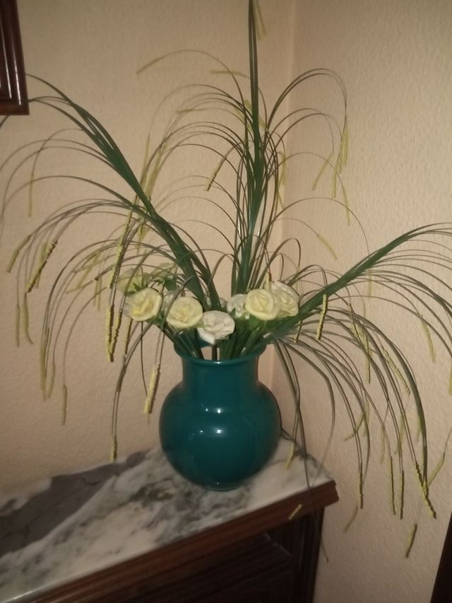 zuecos anatómicos piel