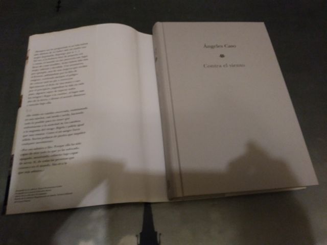 Contra el Viento. Ángeles Caso