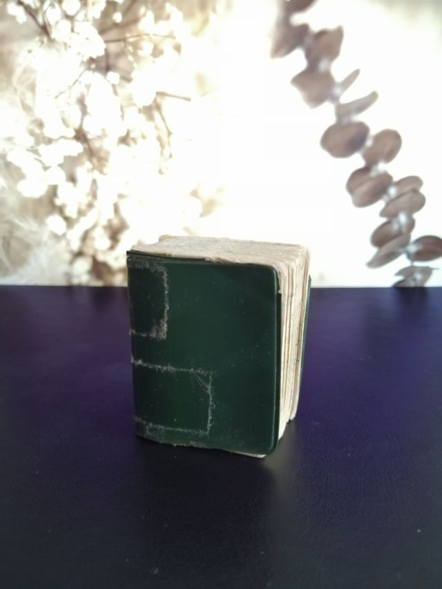 Mini diccionario ortográfico