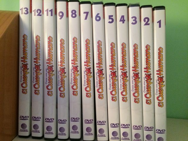 Colección "el cuerpo humano"