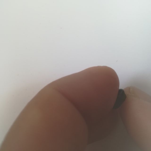 serratura del reggisella