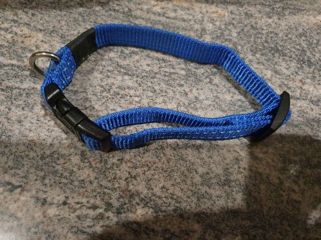 Collar para perro