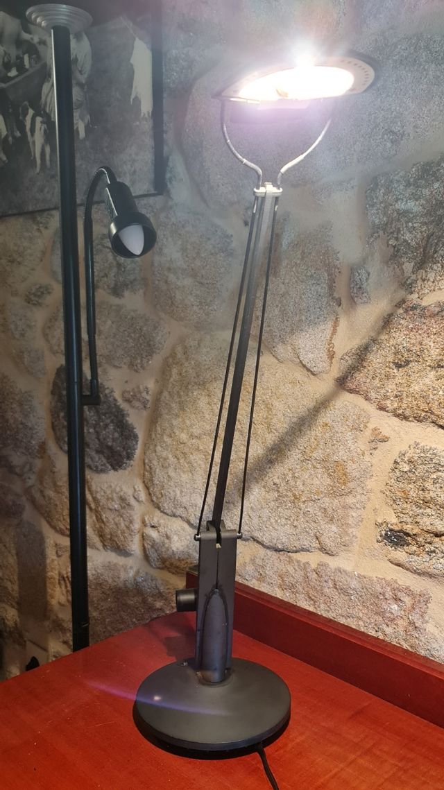 Flexo halógeno color negro.