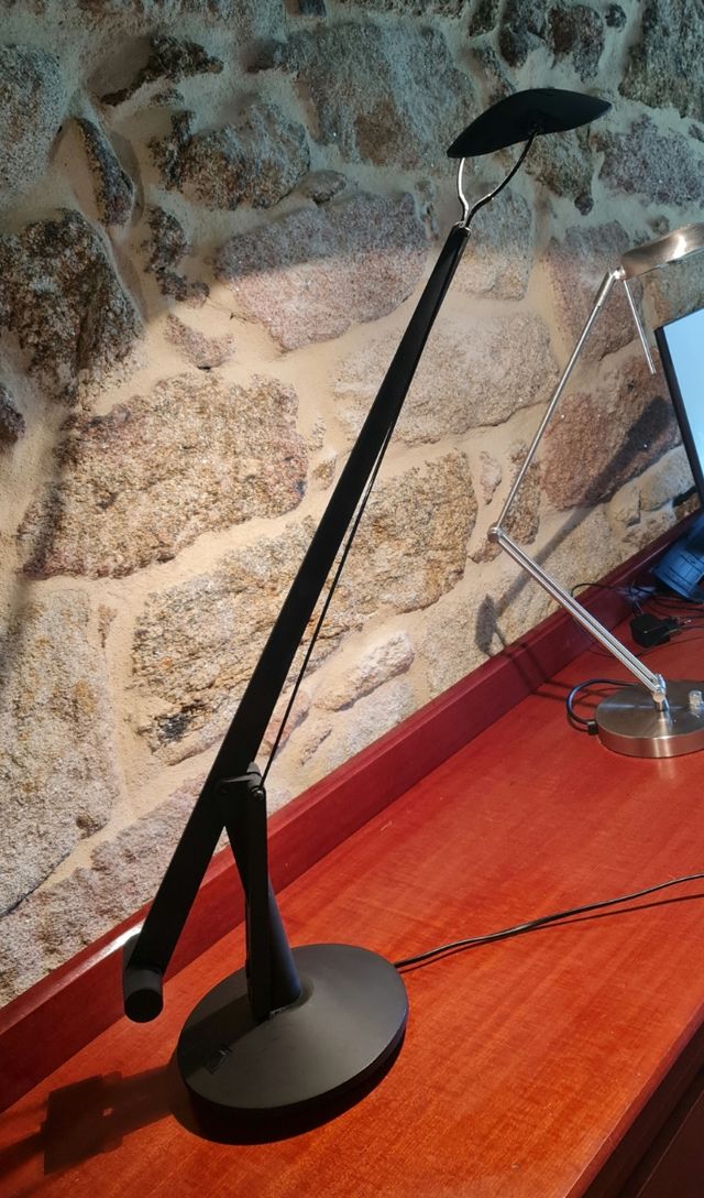 Flexo halógeno color negro.