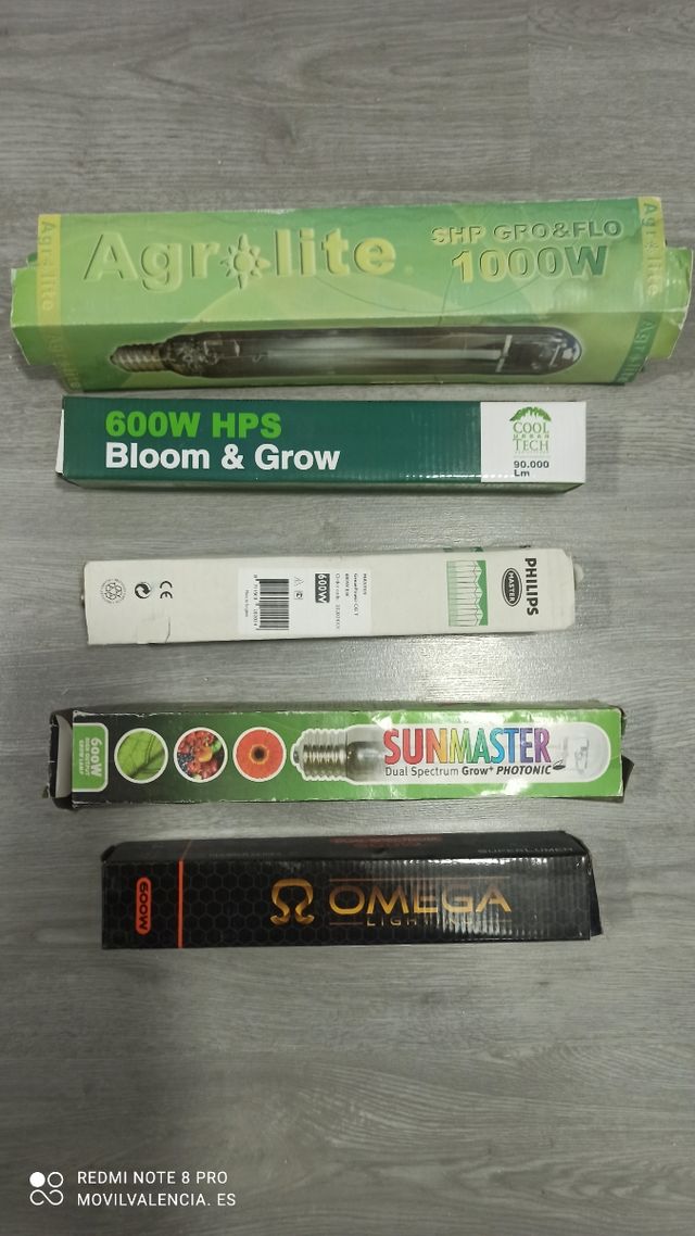 Kit cultivo interior