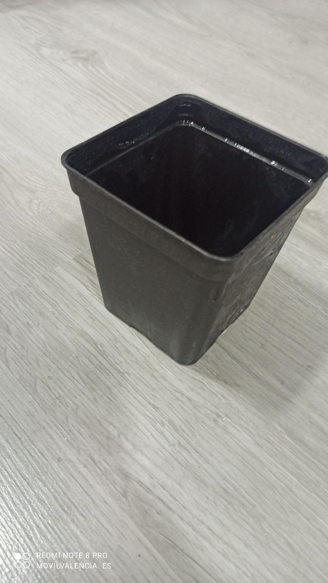 Kit cultivo interior