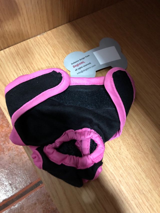 Bragas perro pequeño 