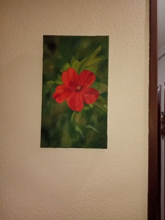 flanera para microondas