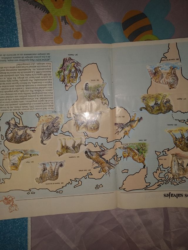 Album de perros completo