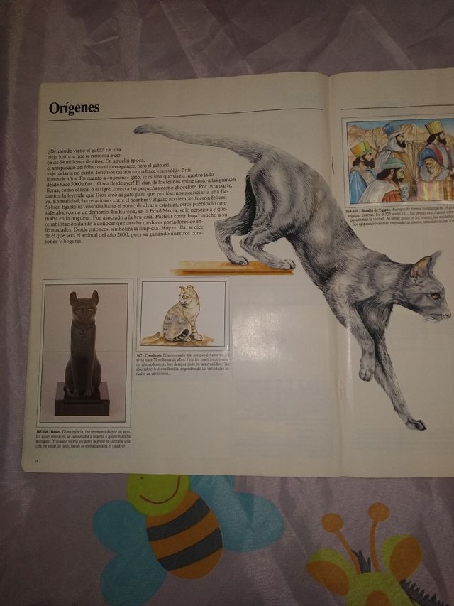 Album de perros completo