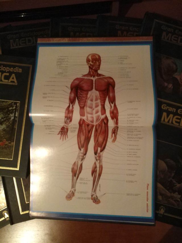 Gran enciclopedia médica