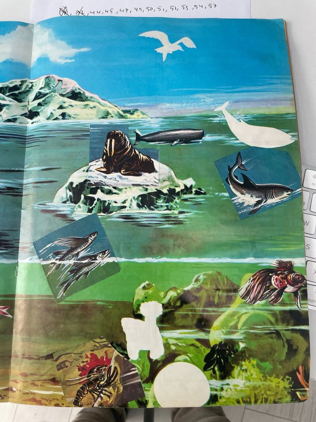 Adaptador original Apple HDMI mini display.