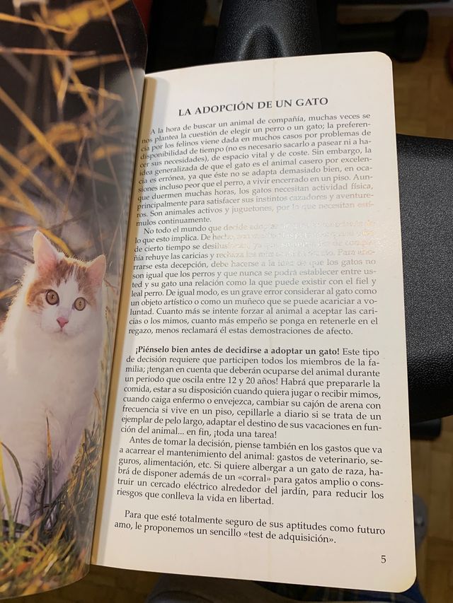 Libro sobre gatos