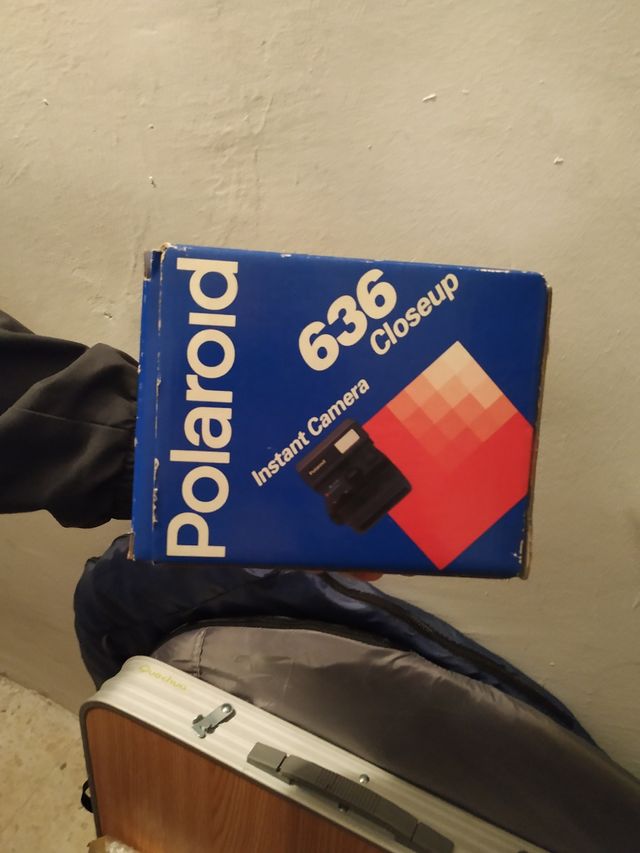 Polaroid instantenea