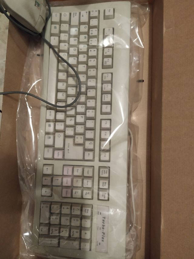 Teclado ordenador y ratón
