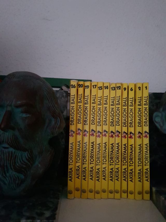 dragon ball serie amarilla. 