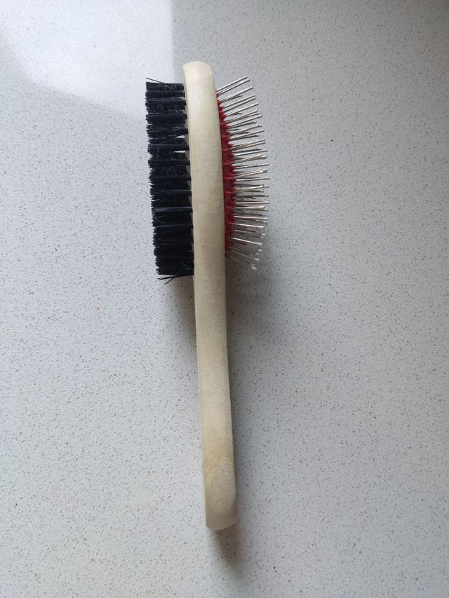 Lote: Peto perro, collar, correa y cepillo Nuevos