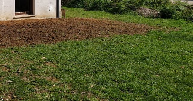 Escarificador Ajardinador Fresador Motocultor