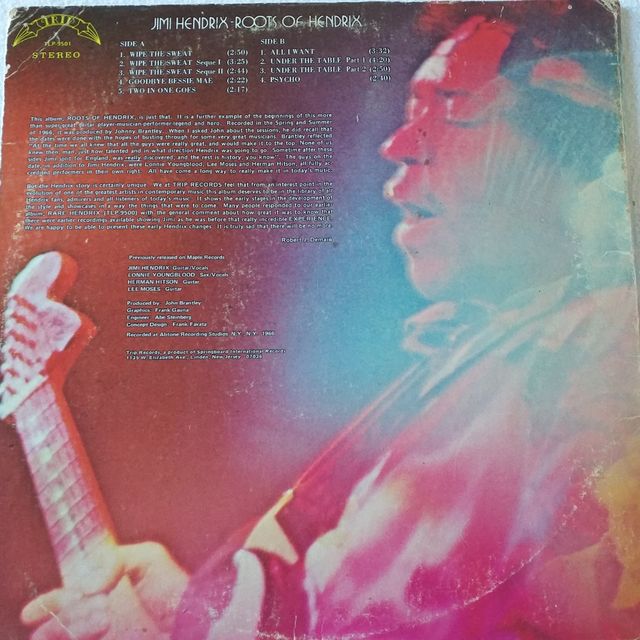 Roots of Jimi Hendrix- vynil cover poster