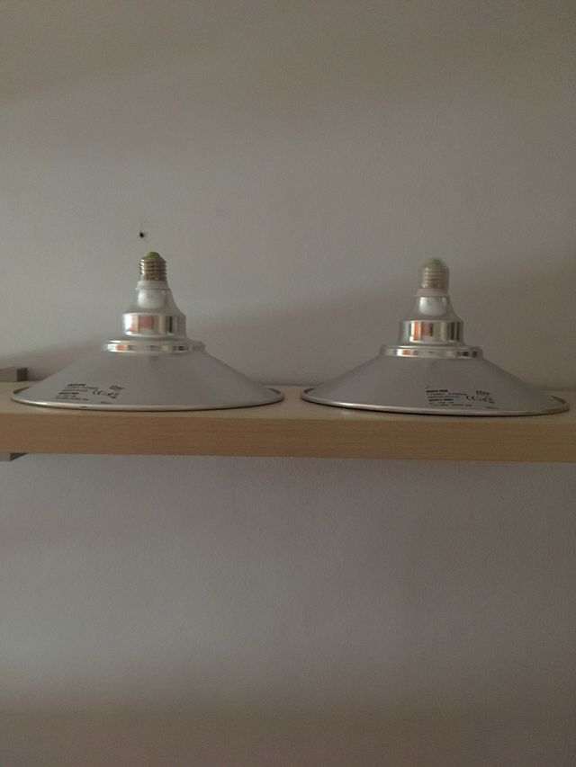 Bombillas decorativas