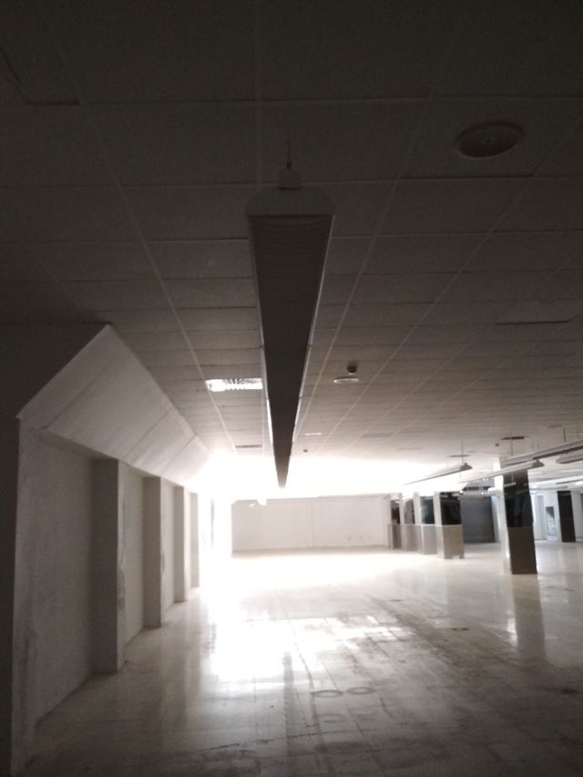 Oficina - Local en alquiler