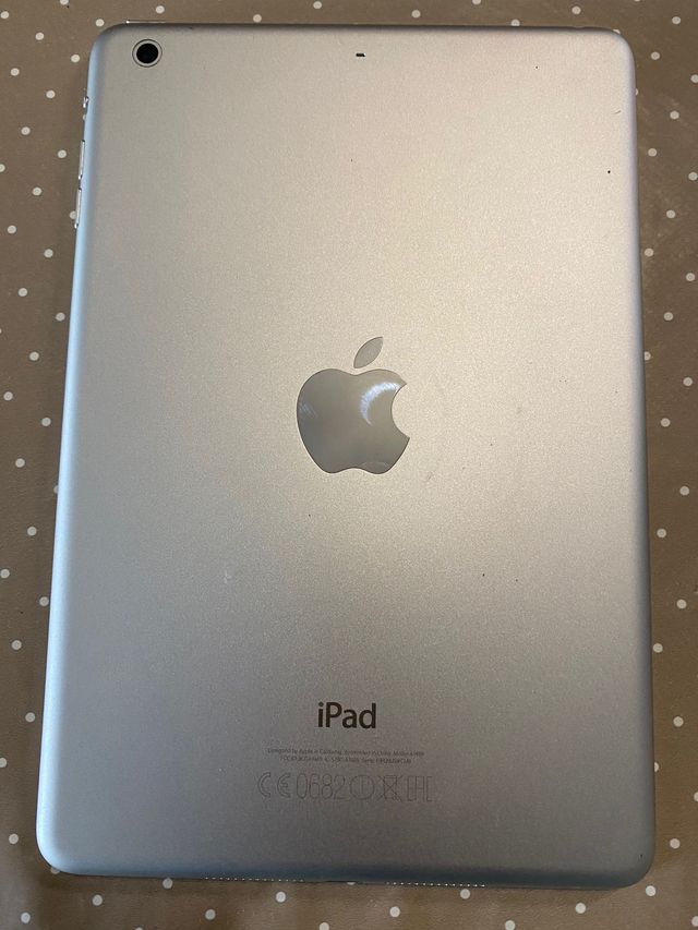 iPad mini 2