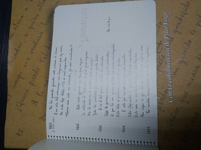 Rimado de Palacio. Canciller Pero López de Ayala
