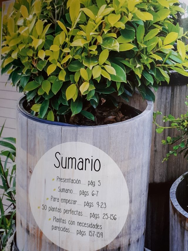 50 plantas perfectas