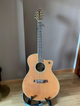 Guitarra acústica Walden G630CE de segunda mano por 105 EUR en Navalcarnero  en WALLAPOP