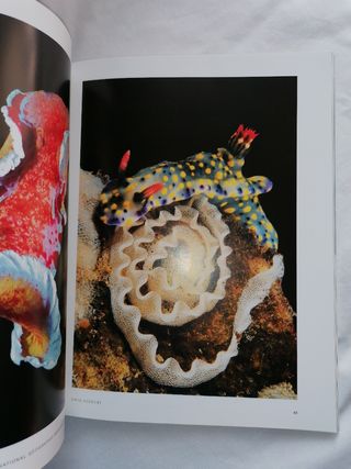 FOTOGRAFÍA DAVID DOUBILET. LIBRO