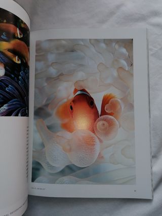 FOTOGRAFÍA DAVID DOUBILET. LIBRO