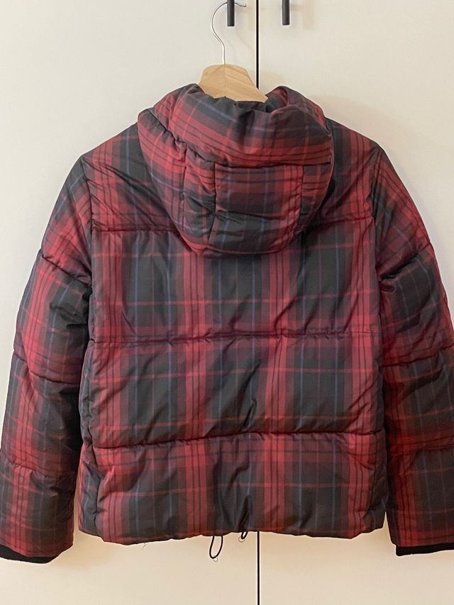 Cazadora escocesa de Brownie