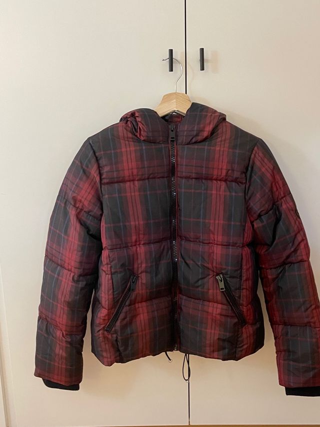 Cazadora escocesa de Brownie