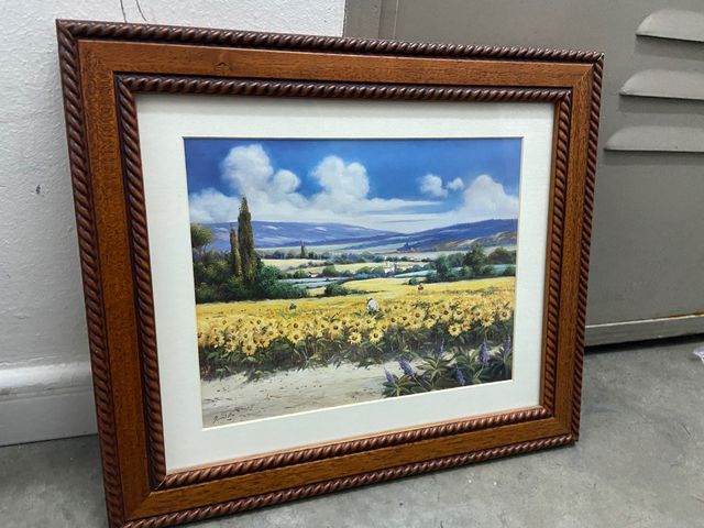 Lamina enmarcada en marco de madera