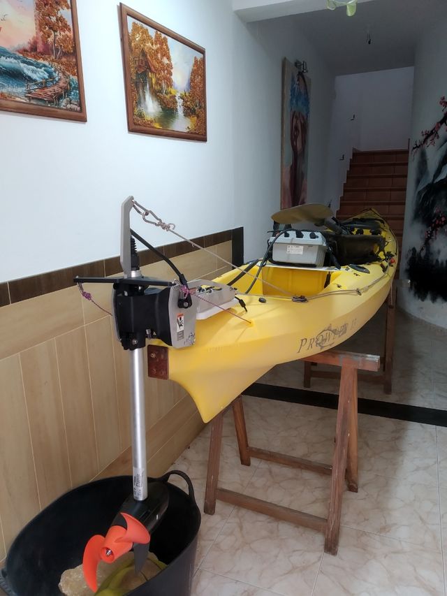 Vendo kayak