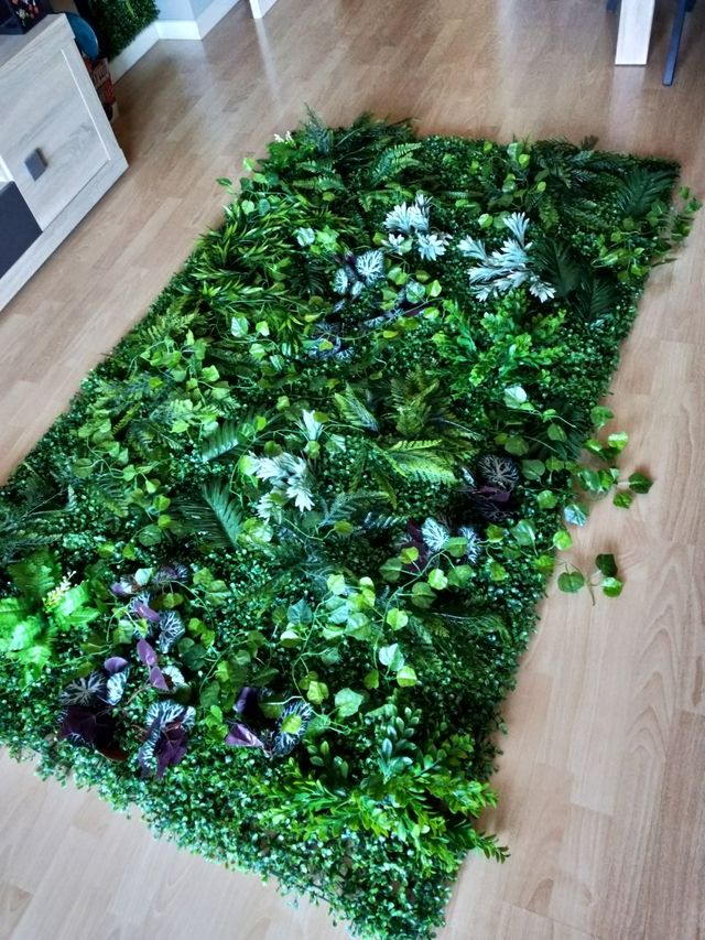 🧱Jardín vertical🌿 Interior y  exterior☀️