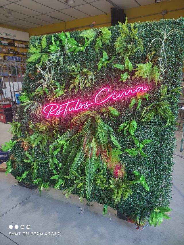 🧱Jardín vertical🌿 Interior y  exterior☀️